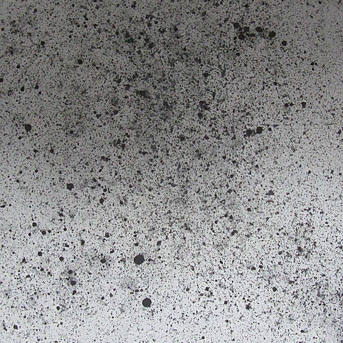 shades & spots 06