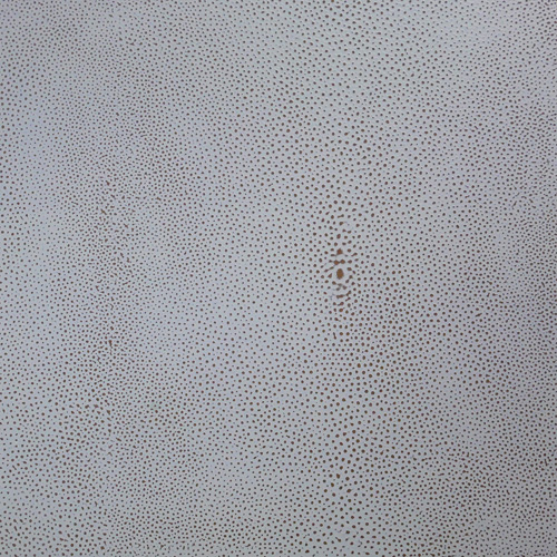 Embossed Shagreen 