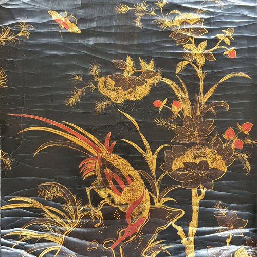The golden pheasant