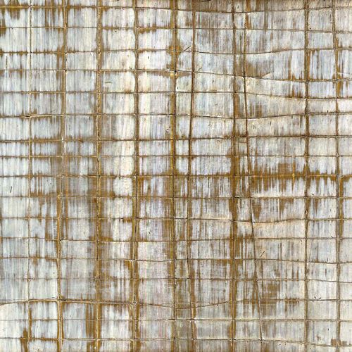 Fossil wood