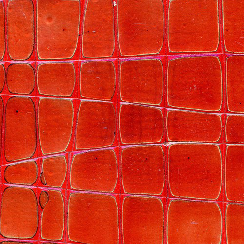 Red Crackle Gesso