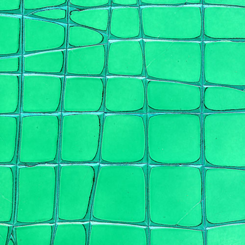Green Crackle Gesso