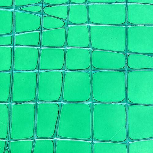 Green Crackle Gesso