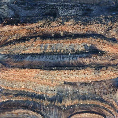 Baobab Bark